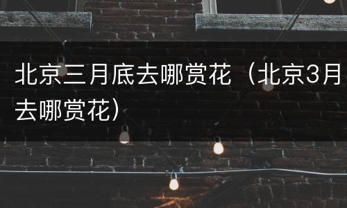 北京三月底去哪赏花（北京3月去哪赏花）