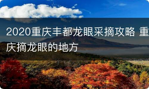 2020重庆丰都龙眼采摘攻略 重庆摘龙眼的地方