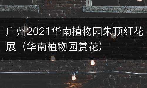 广州2021华南植物园朱顶红花展（华南植物园赏花）