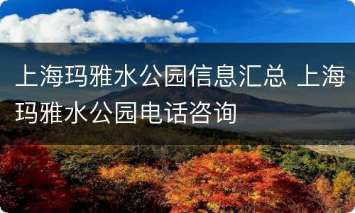 上海玛雅水公园信息汇总 上海玛雅水公园电话咨询