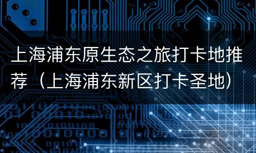 上海浦东原生态之旅打卡地推荐（上海浦东新区打卡圣地）