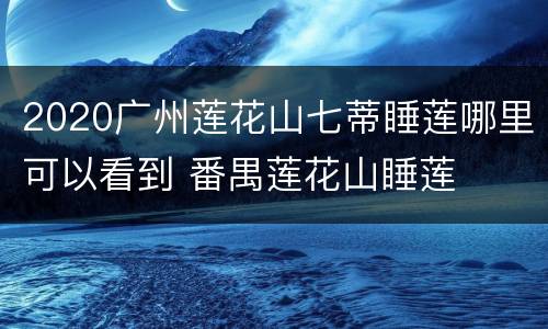 2020广州莲花山七蒂睡莲哪里可以看到 番禺莲花山睡莲