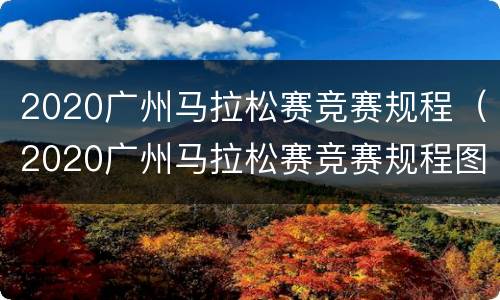 2020广州马拉松赛竞赛规程（2020广州马拉松赛竞赛规程图片）