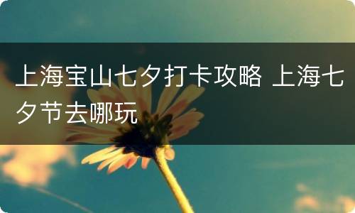 上海宝山七夕打卡攻略 上海七夕节去哪玩