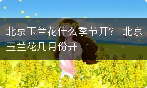 北京玉兰花什么季节开？ 北京玉兰花几月份开