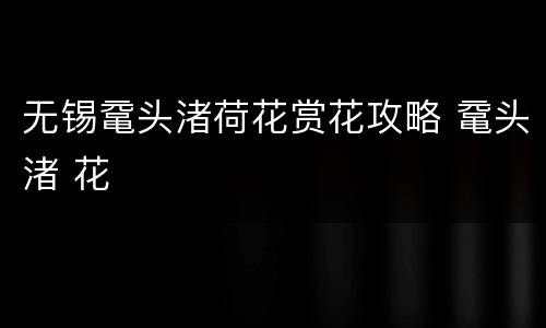 无锡鼋头渚荷花赏花攻略 鼋头渚 花