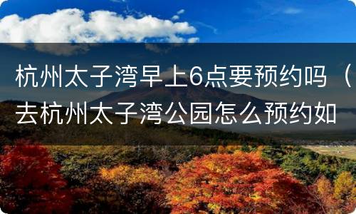 杭州太子湾早上6点要预约吗（去杭州太子湾公园怎么预约如何打开约）