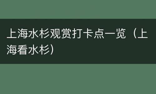 上海水杉观赏打卡点一览（上海看水杉）