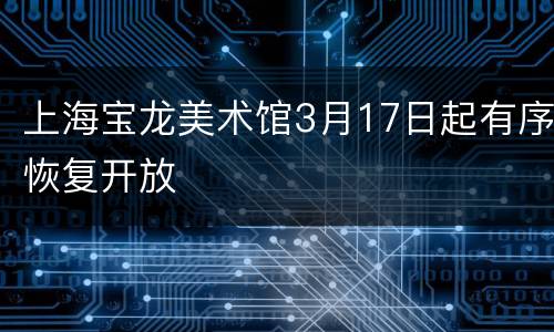 上海宝龙美术馆3月17日起有序恢复开放