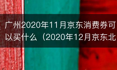 广州2020年11月京东消费券可以买什么（2020年12月京东北京消费券）