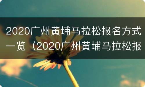 2020广州黄埔马拉松报名方式一览（2020广州黄埔马拉松报名方式一览表）