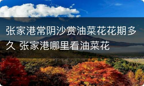 张家港常阴沙赏油菜花花期多久 张家港哪里看油菜花