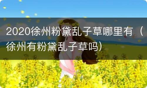2020徐州粉黛乱子草哪里有（徐州有粉黛乱子草吗）