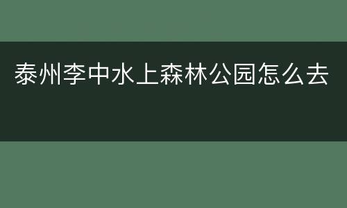 泰州李中水上森林公园怎么去