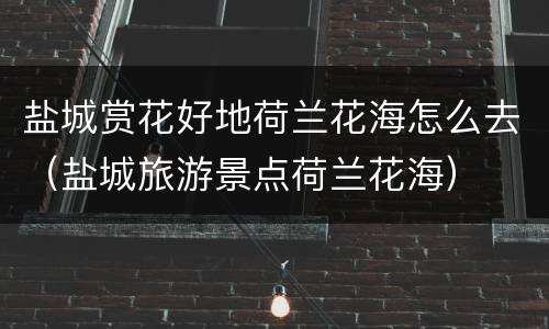 盐城赏花好地荷兰花海怎么去（盐城旅游景点荷兰花海）