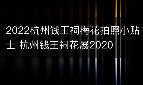 2022杭州钱王祠梅花拍照小贴士 杭州钱王祠花展2020