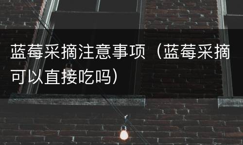蓝莓采摘注意事项（蓝莓采摘可以直接吃吗）