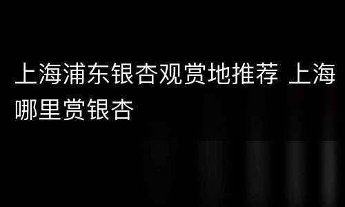 上海浦东银杏观赏地推荐 上海哪里赏银杏