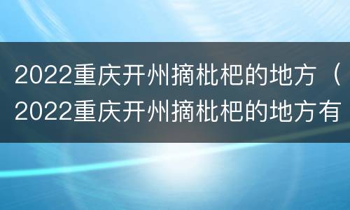 2022重庆开州摘枇杷的地方（2022重庆开州摘枇杷的地方有哪些）