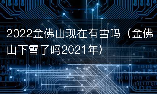2022金佛山现在有雪吗（金佛山下雪了吗2021年）