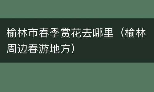 榆林市春季赏花去哪里（榆林周边春游地方）