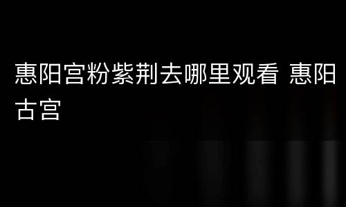 惠阳宫粉紫荆去哪里观看 惠阳古宫