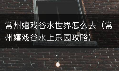 常州嬉戏谷水世界怎么去（常州嬉戏谷水上乐园攻略）