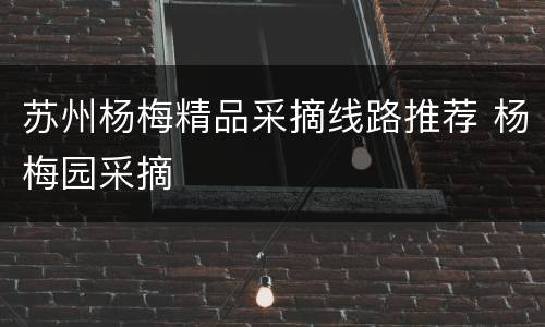 苏州杨梅精品采摘线路推荐 杨梅园采摘