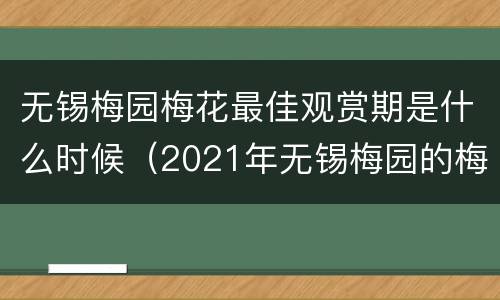 无锡梅园梅花最佳观赏期是什么时候（2021年无锡梅园的梅花开了吗）