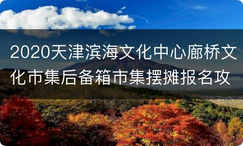 2020天津滨海文化中心廊桥文化市集后备箱市集摆摊报名攻略