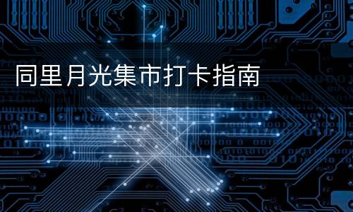 同里月光集市打卡指南