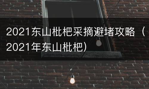 2021东山枇杷采摘避堵攻略（2021年东山枇杷）