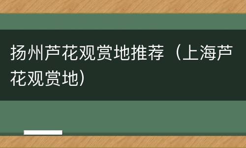 扬州芦花观赏地推荐（上海芦花观赏地）