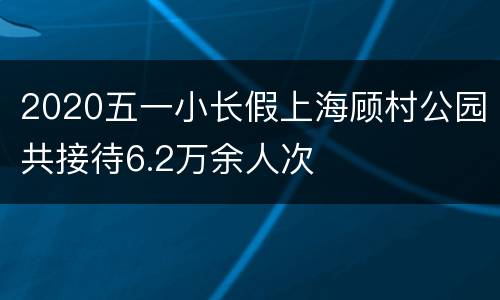 2020五一小长假上海顾村公园共接待6.2万余人次