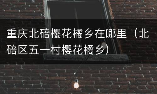 重庆北碚樱花橘乡在哪里（北碚区五一村樱花橘乡）