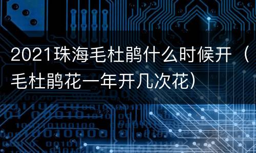 2021珠海毛杜鹃什么时候开（毛杜鹃花一年开几次花）