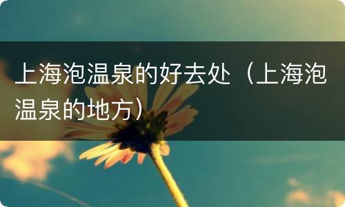 上海泡温泉的好去处（上海泡温泉的地方）