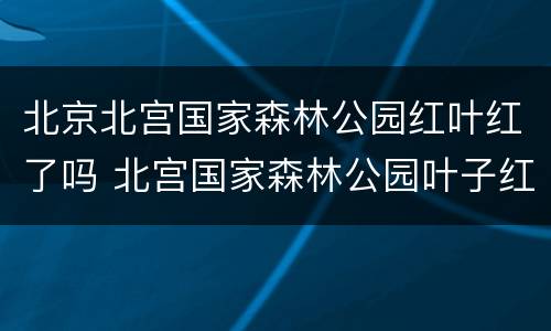 北京北宫国家森林公园红叶红了吗 北宫国家森林公园叶子红了吗