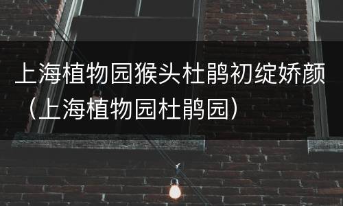 上海植物园猴头杜鹃初绽娇颜（上海植物园杜鹃园）