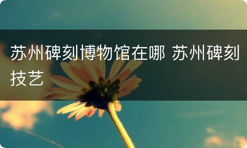 苏州碑刻博物馆在哪 苏州碑刻技艺