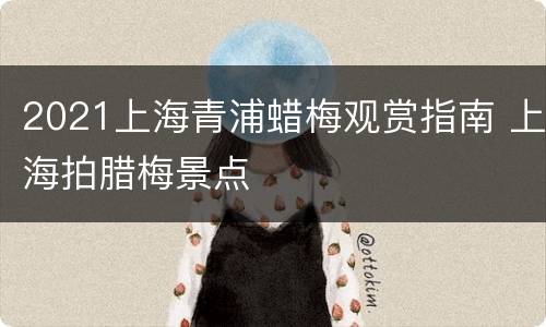 2021上海青浦蜡梅观赏指南 上海拍腊梅景点