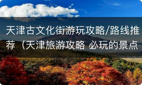 天津古文化街游玩攻略/路线推荐（天津旅游攻略 必玩的景点天津古文化街）