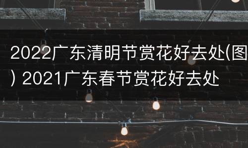 2022广东清明节赏花好去处(图) 2021广东春节赏花好去处