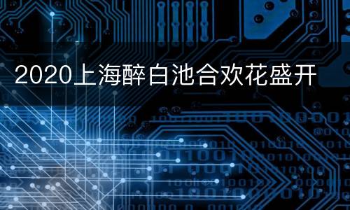 2020上海醉白池合欢花盛开