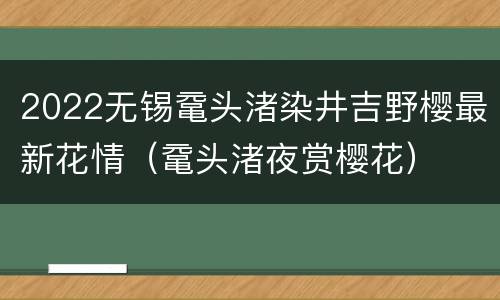 2022无锡鼋头渚染井吉野樱最新花情（鼋头渚夜赏樱花）
