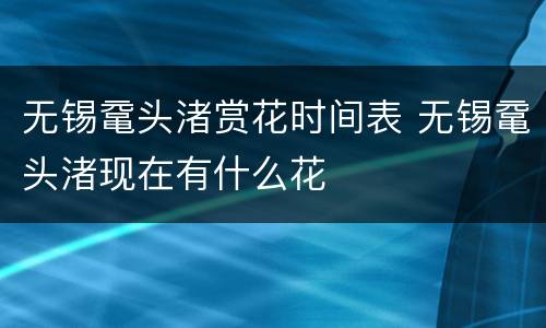 无锡鼋头渚赏花时间表 无锡鼋头渚现在有什么花