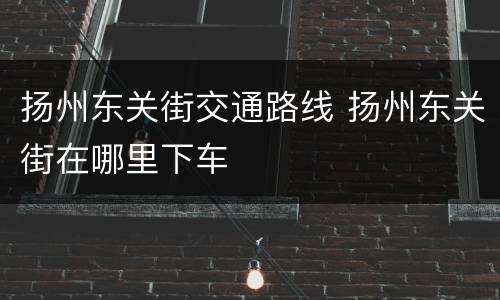 扬州东关街交通路线 扬州东关街在哪里下车