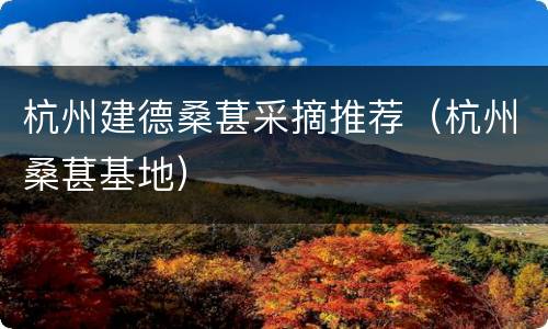 杭州建德桑葚采摘推荐（杭州桑葚基地）