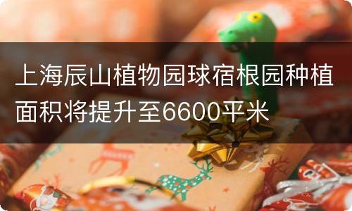 上海辰山植物园球宿根园种植面积将提升至6600平米