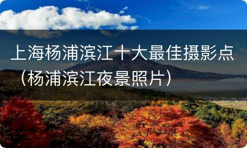 上海杨浦滨江十大最佳摄影点（杨浦滨江夜景照片）